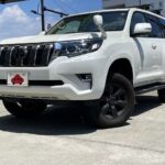 2018 TOYOTA LAND CRUISER PRADO TX