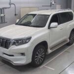 2020 TOYOTA LAND CRUISER PRADO TZ-G
